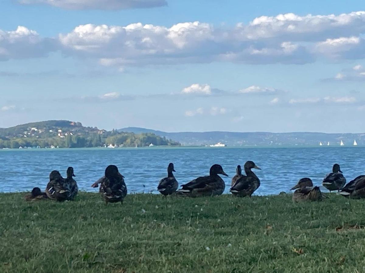 Balatonföldvár Zawia Apartman 아파트 외부 사진